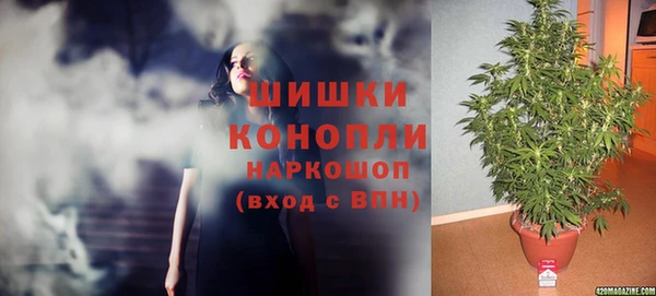 СК Ельня