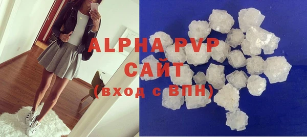 СК Ельня