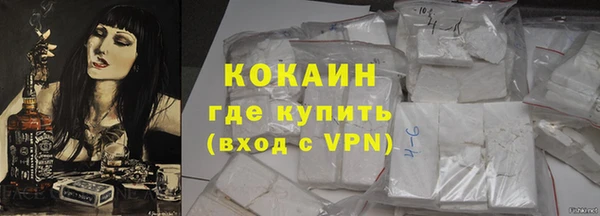 СК Ельня
