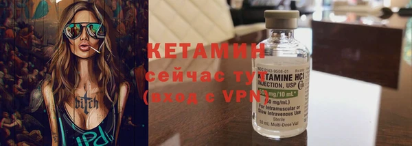 СК Ельня