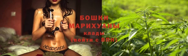 СК Ельня