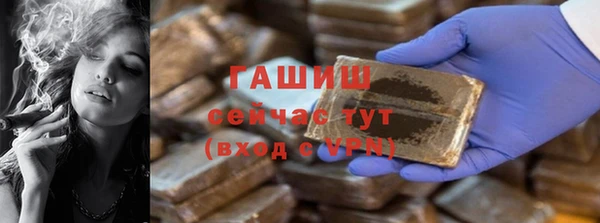 СК Ельня