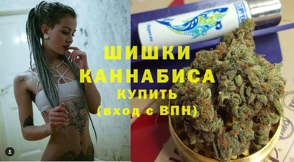 СК Ельня