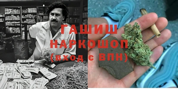 СК Ельня