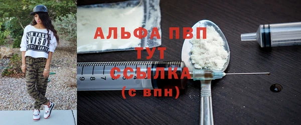 СК Ельня