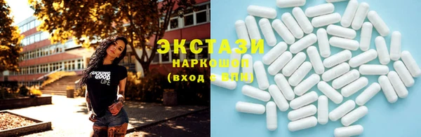 СК Ельня